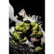 Incredible Hulk #9 Greg Capullo Virgin 1:50 Variant