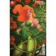 Poison Ivy #19 Cover B David Nakayama Card Stock Variant