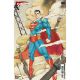 Superman #11 Cover G Chuma Hill 1:50 Variant