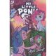 My Little Pony Skyes Secret #1 Cover B Scruggs