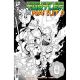 Teenage Mutant Ninja Turtles X Naruto #2 Second Printing