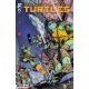 Teenage Mutant Ninja Turtles #15 Cover F 1:50 Kubert