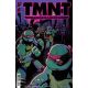 Teenage Mutant Ninja Turtles Journeys #6 Cover B Duncan