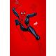 Amazing Spider-Man #21 1:50 David Nakayama Color Block Red Virgin Variant