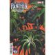 Black Panther 60Th Anniversary Special #1 Steve Rude Variant