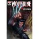 Wolverine #15 Ario Anindito Punisher Variant