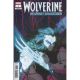 Wolverine Weapons Of Armageddon #1 Rose Besch Variant