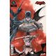 DC K.O. Knightfight #4 Cover D Dustin Nguyen Card Stock Variant