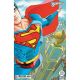 Superman #35 Cover B Guillem March Connecting Card Stock Variant