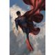 Superman #35 Cover D Davide Paratore Card Stock Variant