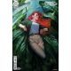 Poison Ivy #41 Cover B Noobovich Card Stock Variant