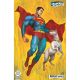 Superman Unlimited #10 Cover D Mike Choi Card Stock Variant