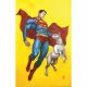 Superman Unlimited #10 Cover D Mike Choi Card Stock Variant