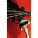 Batman Gargoyle Of Gotham #4 Cover F Thobias Daneluz Card Stock Variant