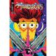 Thundercats #24 Cover E Manix Variant