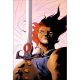 Thundercats #24 Cover J 1:15 Jae Lee Virgin Variant
