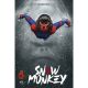 Snow Monkey #1
