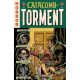 EC Catacomb Of Torment #8 Cover C 1:10 Shawn Mcmanus EC Homage Variant