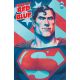 Superman Red & Blue #2