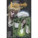 Jim Hensons Labyrinth Archive Edition #1 Cover B Mercado