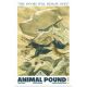 Animal Pound #3 Cover D FOC Reveal