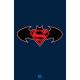 Batman Superman Worlds Finest #26 Cover E Logo Foil Variant