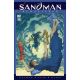 From The DC Vault The Sandman #19 Remastered