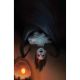 Hello Darkness #10 Cover E 1:20 Mercado