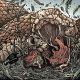 Mouse Guard Dawn Of The Black Axe #2 Cover C 1:15 Eastman & Petersen