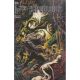 Herculoids #3 Cover D Hotz