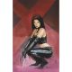 Laura Kinney Wolverine #5 1:50 Alex Maleev X-23 Virgin