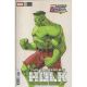 Incredible Hulk #24 Bengus Marvel Vs Capcom Variant