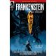 Frankenstein New World Sea Of Forever #4