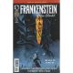 Frankenstein New World Sea Of Forever #4