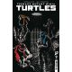 Teenage Mutant Ninja Turtles #9 Cover C Ferreyra