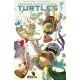 Teenage Mutant Ninja Turtles #9 Cover D Byrne