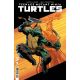 Teenage Mutant Ninja Turtles #9 Cover E Randolph