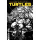 Teenage Mutant Ninja Turtles #9 Cover F 1:10 Eastman B&W