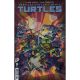 Teenage Mutant Ninja Turtles #9 Cover G 1:25 Suriano