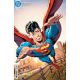 Summer Of Superman Special #1 Cover G 1:25 Dan Jurgens Card Stock Variant