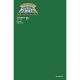 Captain Planet #1 Cover U Green Blank Authentix