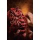 Hello Body Horror #1 Cover E 1:10 Full Art Campbell