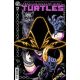 Teenage Mutant Ninja Turtles #17 Cover B Eastman & Bishop