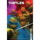 Teenage Mutant Ninja Turtles #17 Cover C Spears