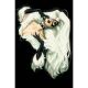 Black Cat #9 1:50 Kris Anka Black Cat Virgin Variant