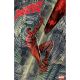 Daredevil #2 1:25 Stephen Platt Variant