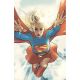Supergirl #12 Cover C Pablo Villalobos Card Stock Variant