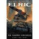 Elric The Sleeping Sorceress #1 Cover E Valentin Secher Foil Variant
