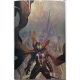 Spawn #376 Cover C 1:50 Simone Bianchi Foil Virgin Variant