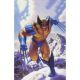 Wolverine Madripoor Knights #2 Marvel Masterpieces III Virgin 1:50 Variant